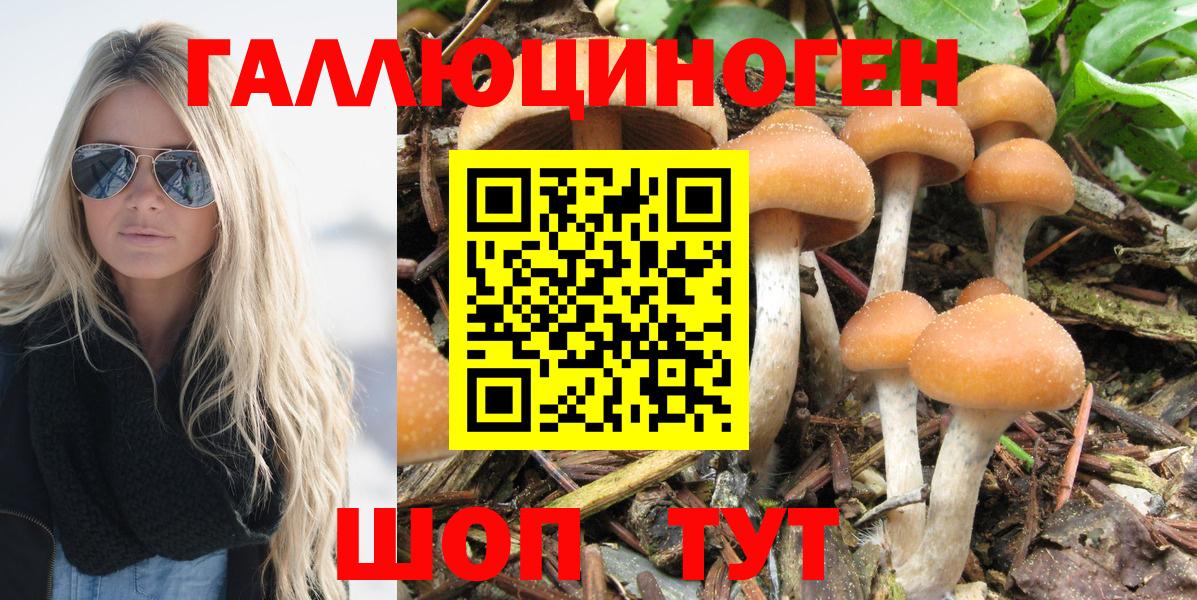 Псилоцибиновые грибы мухоморы Елизово